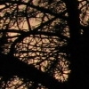 Oncoming Storm